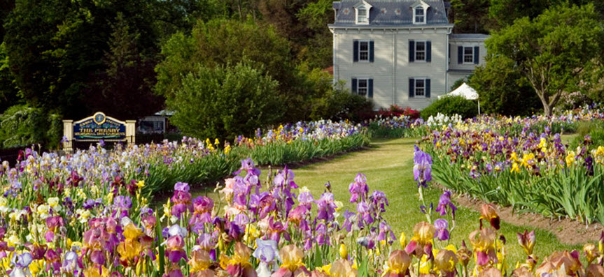 Presby Iris Gardens, United States
